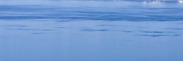 TahoeTrans Profile Banner