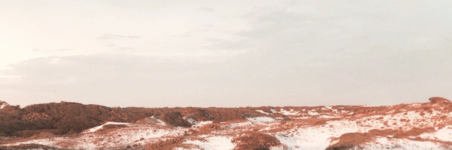 avvspivey_'s profile banner image