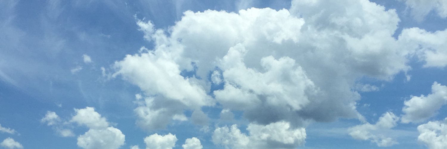 Jessie Schilens banner