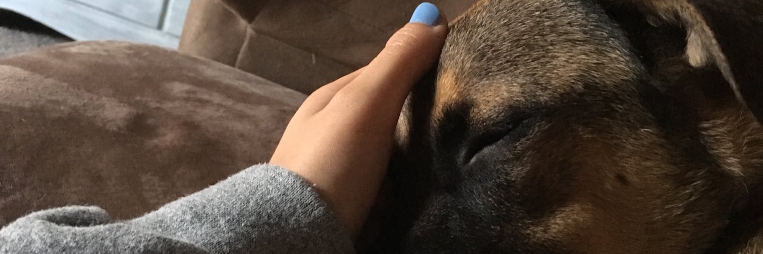 AlexxxRivera24's profile banner image