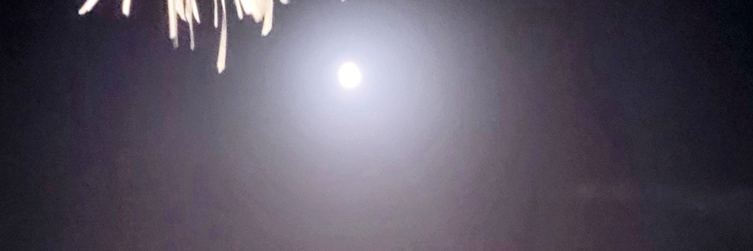 Angelafallz's profile banner image