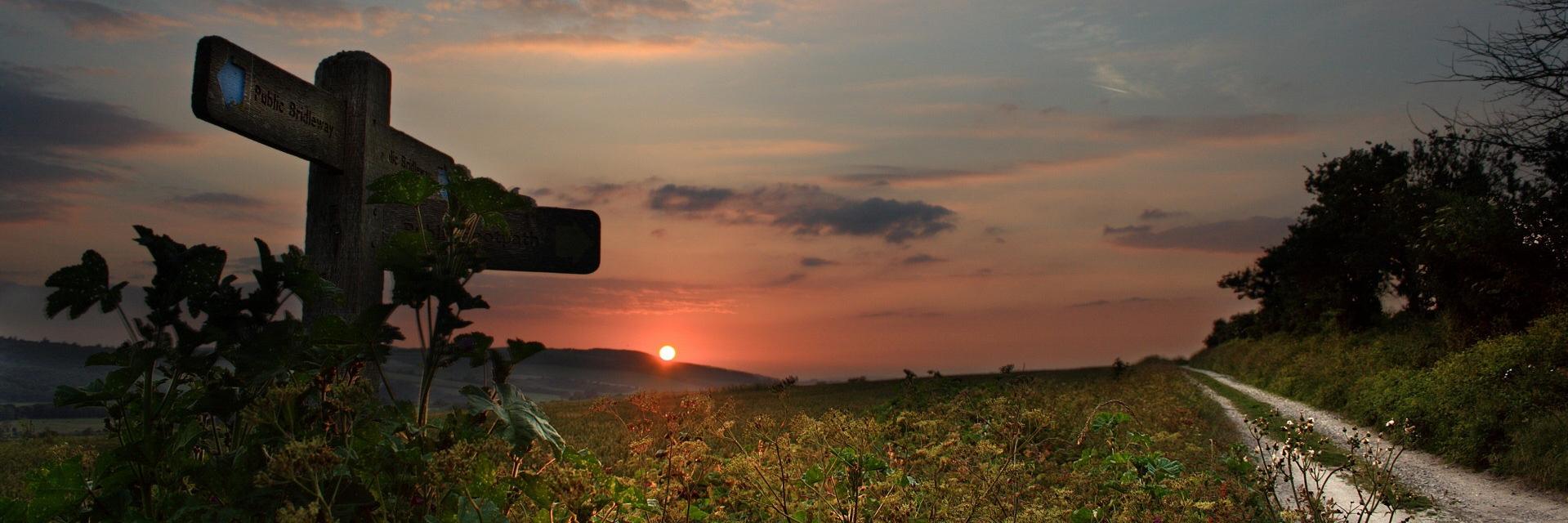 N_the_F's profile banner image