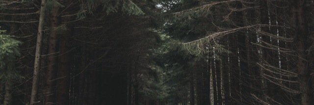 mayday137's profile banner image