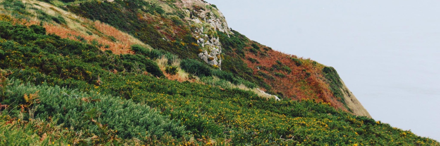 aashaypab's profile banner image
