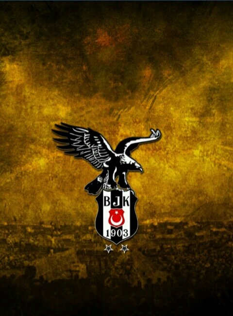 coaxvin's profile banner image