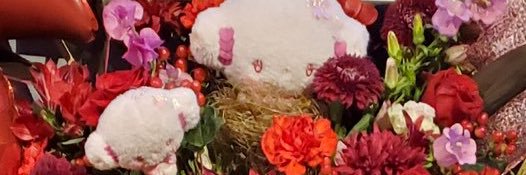 椿 あやね🍒 banner