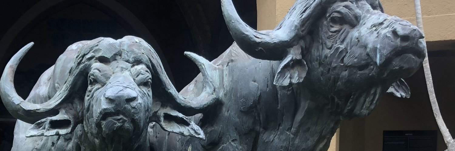 OmaghSean's profile banner image