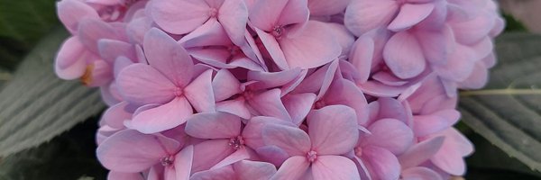 CS_Jennings Profile Banner