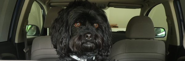 KlaatuGortbot54 Profile Banner