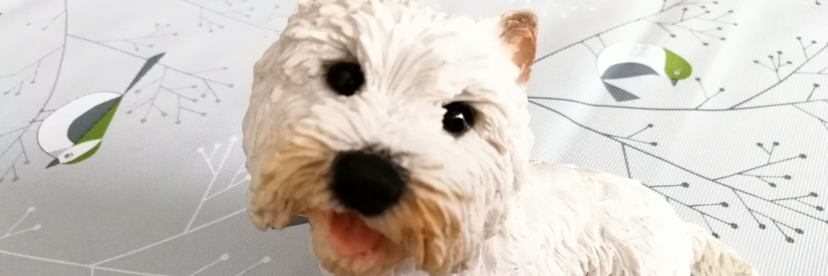 jock banner
