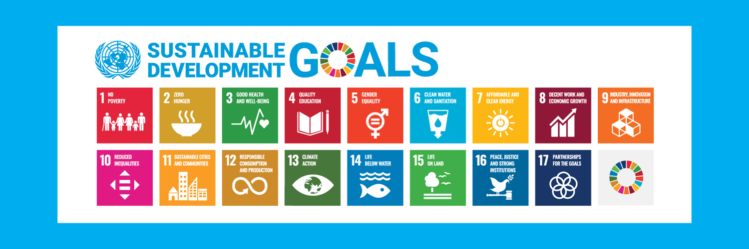 UNDP Pakistan's banner