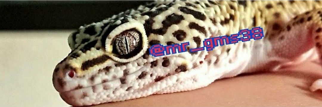 mr_gms38's profile banner image