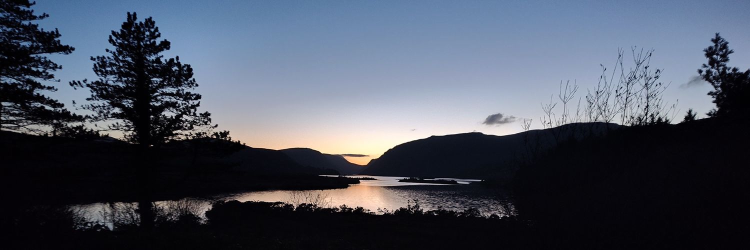 Dr Anne-Marie Baird banner