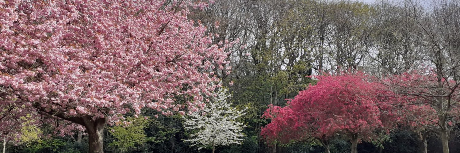 Ben Fletcher-Harris banner