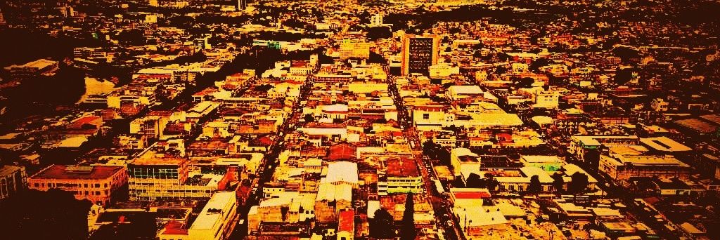 Mejía D. CFernando banner