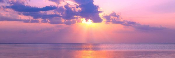 Mahmoudhti Profile Banner