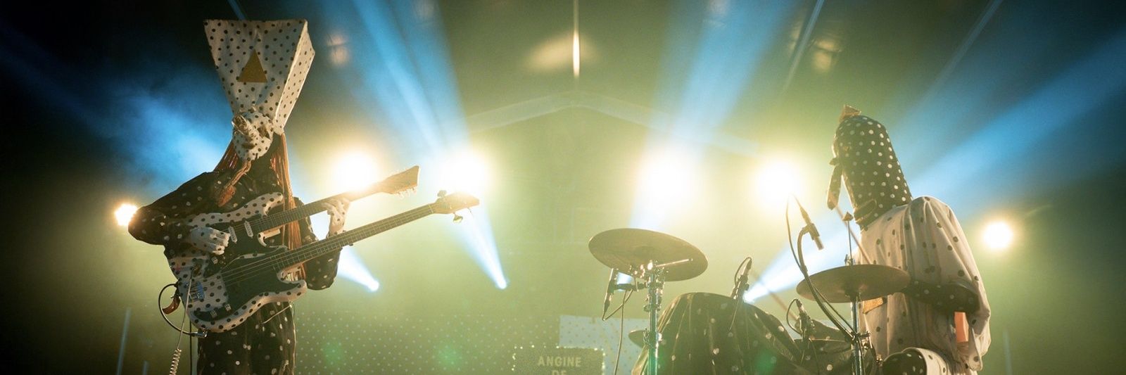 красивые котята banner