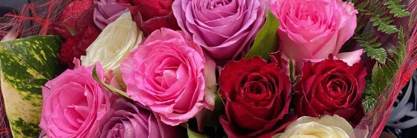 _Mariion__'s profile banner image