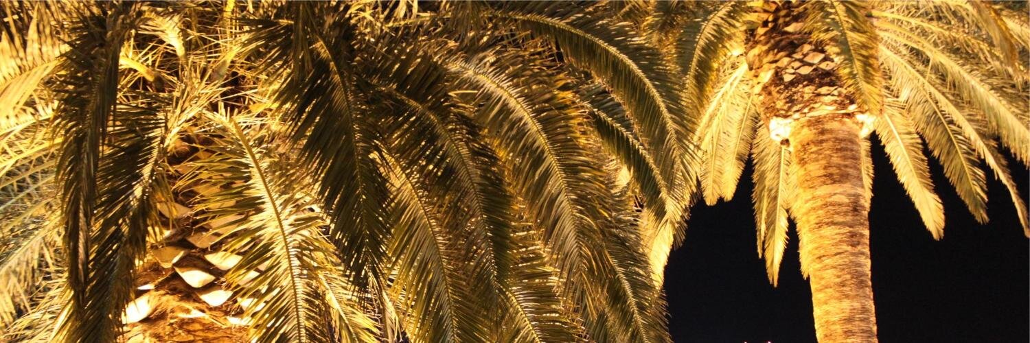 sweet_etc's profile banner image