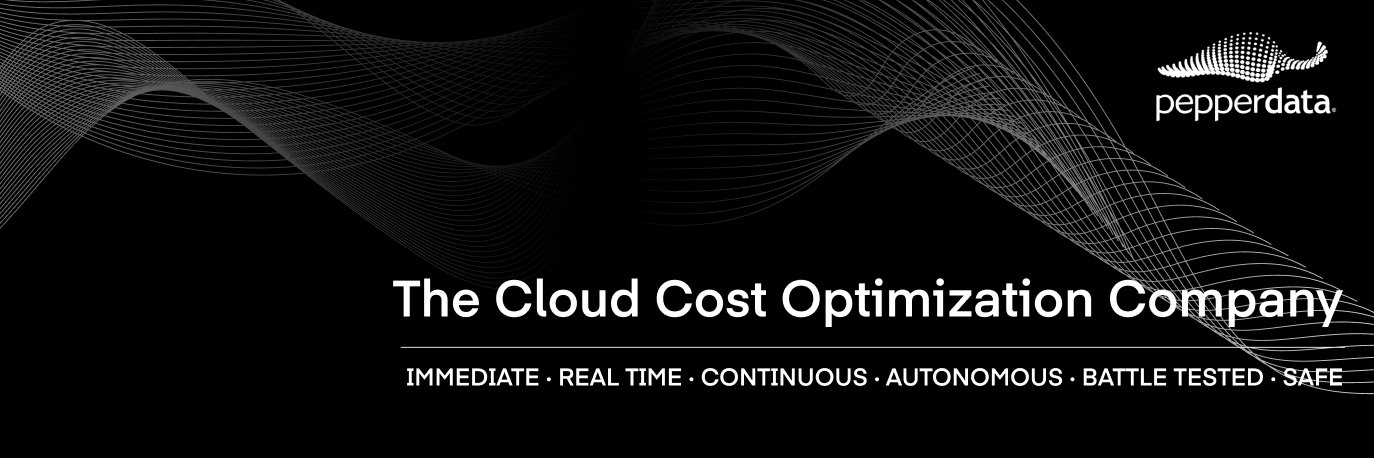 Pepperdata banner