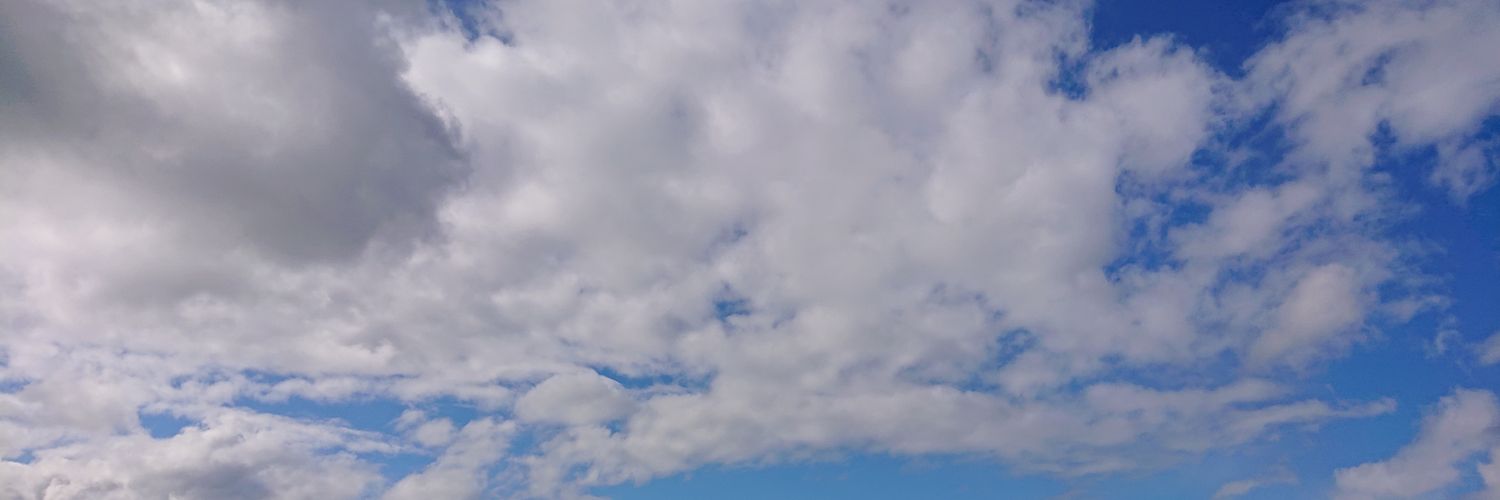 なつ(Natsu) banner