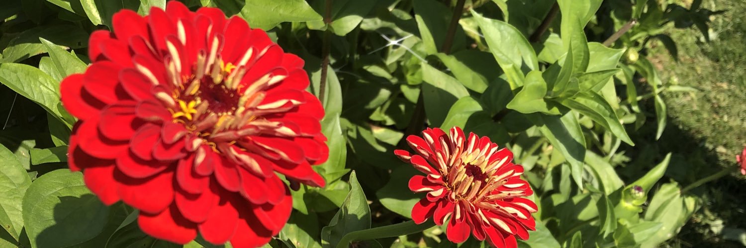 JenJones2122's profile banner image