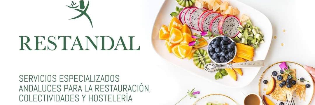RESTANDAL SERVICIOS banner