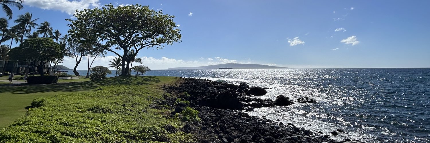 malanilee's profile banner image