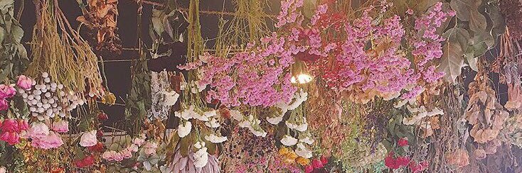 ❁︎ banner
