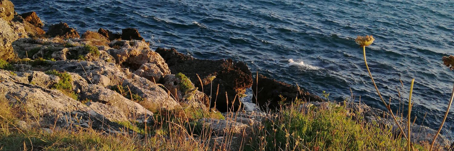 annag_24's profile banner image