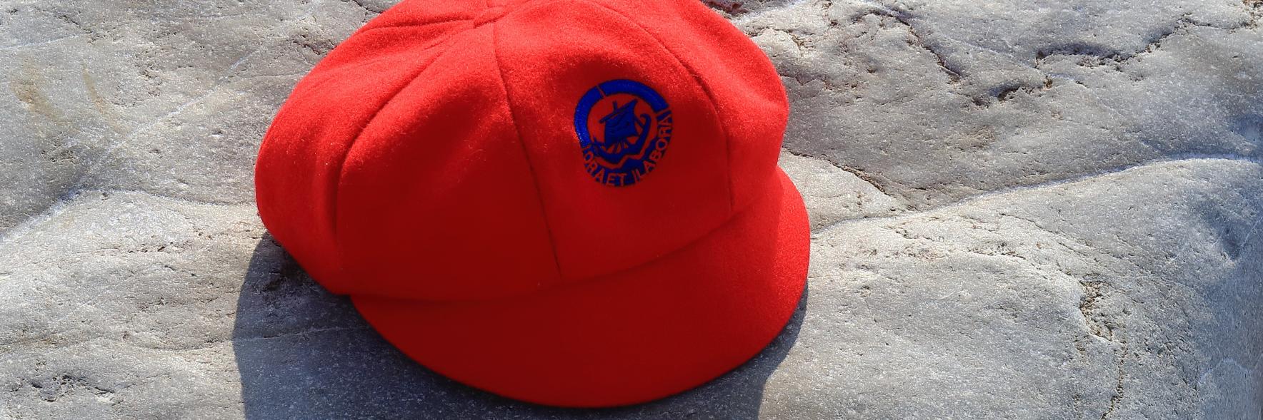 Davison C.E. High School for Girls banner