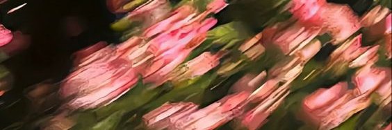 𝒥𝑒𝒶𝓃ʕ・㉨・ʔ banner