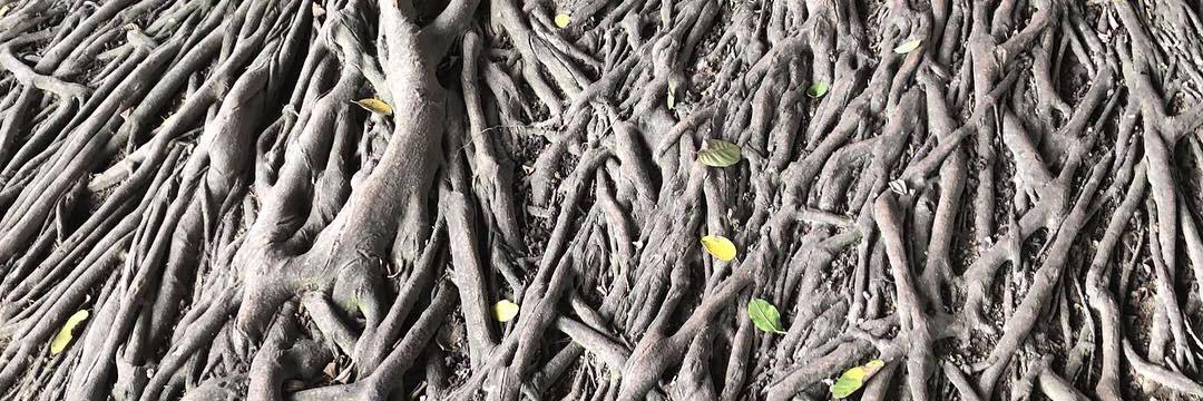 PREE: Caribbean. Writing. banner