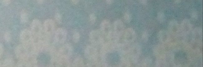 hana banner