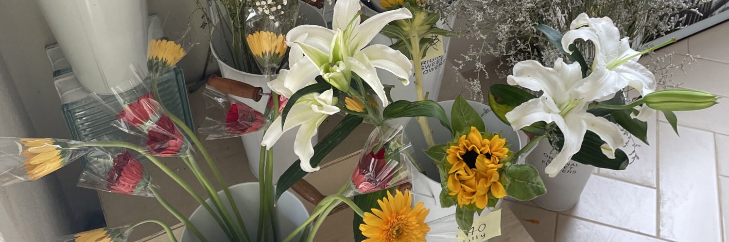 Pnk2251's profile banner image