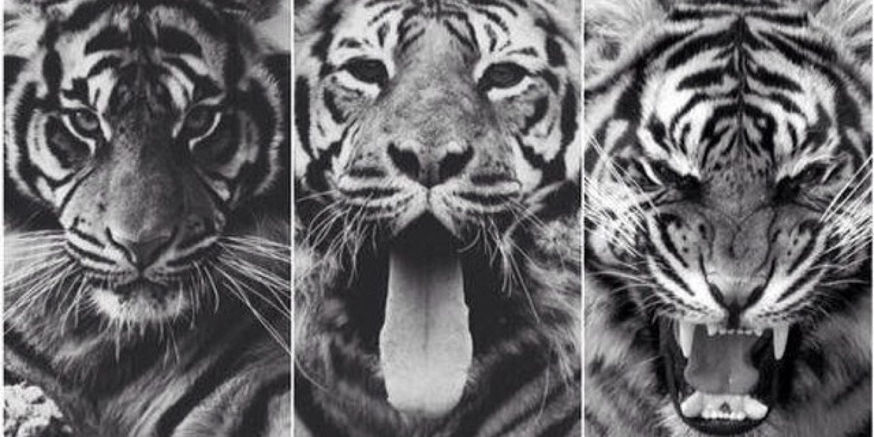 MaellaMgrs's profile banner image