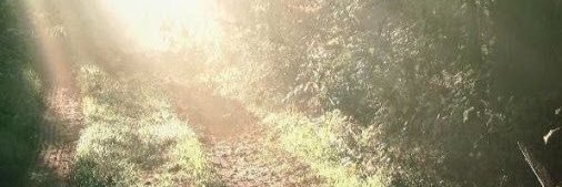 cj_0771's profile banner image