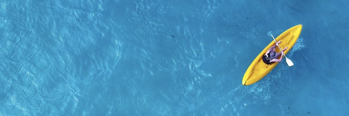  Marcel Vergonet banner