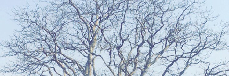 Iyonsit's profile banner image