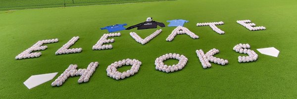 Nelson_Hitting Profile Banner