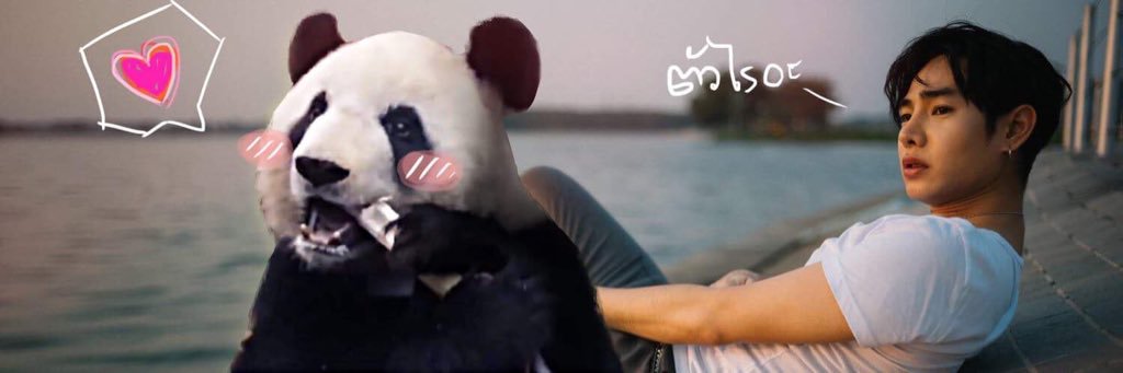 PalitBear's profile banner image