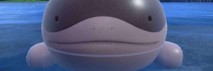 masapokeuntil8m's profile banner image