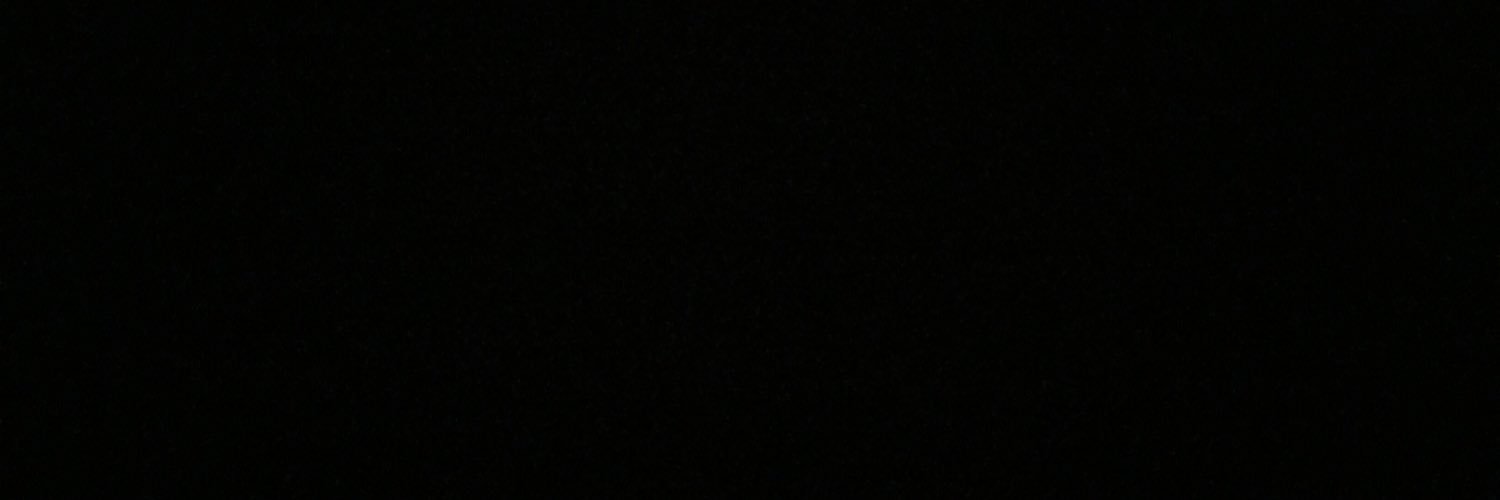 pitsee's profile banner image