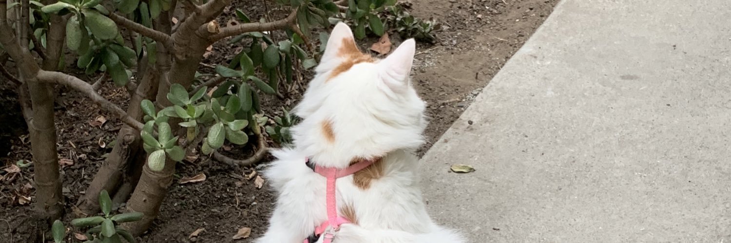 Friederike Edelmann banner