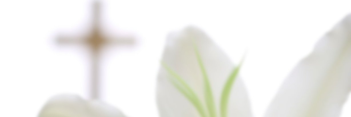 HelenMainasse's profile banner image