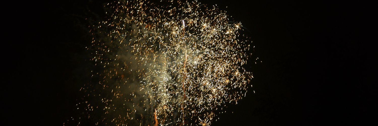 Dr Catherine Rees banner