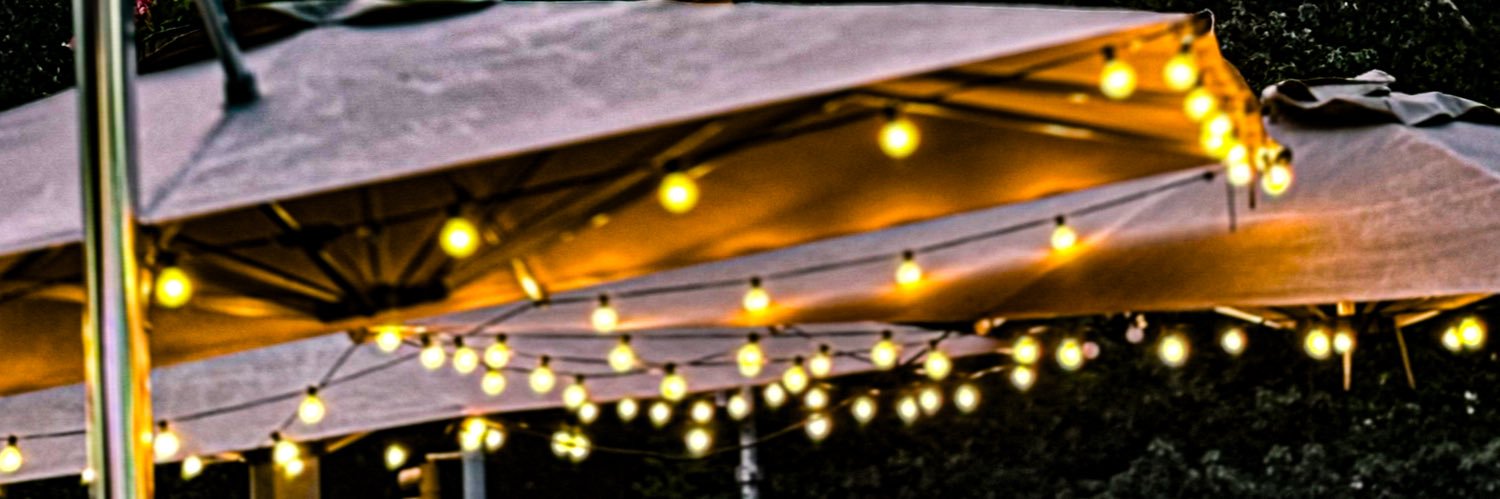 Diana Apfelbacher banner