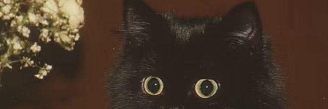 _SoyMili_'s profile banner image