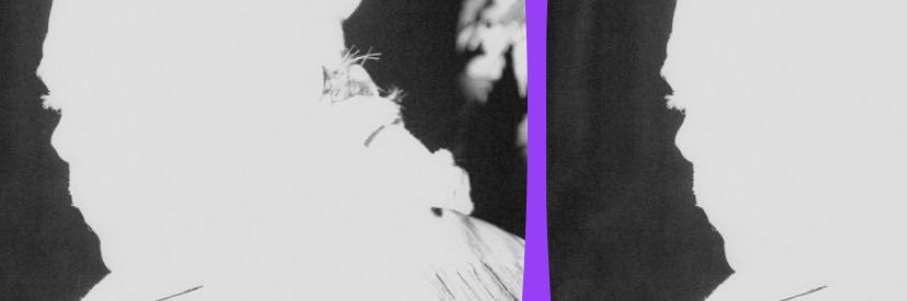 lybis 🇫🇷 banner