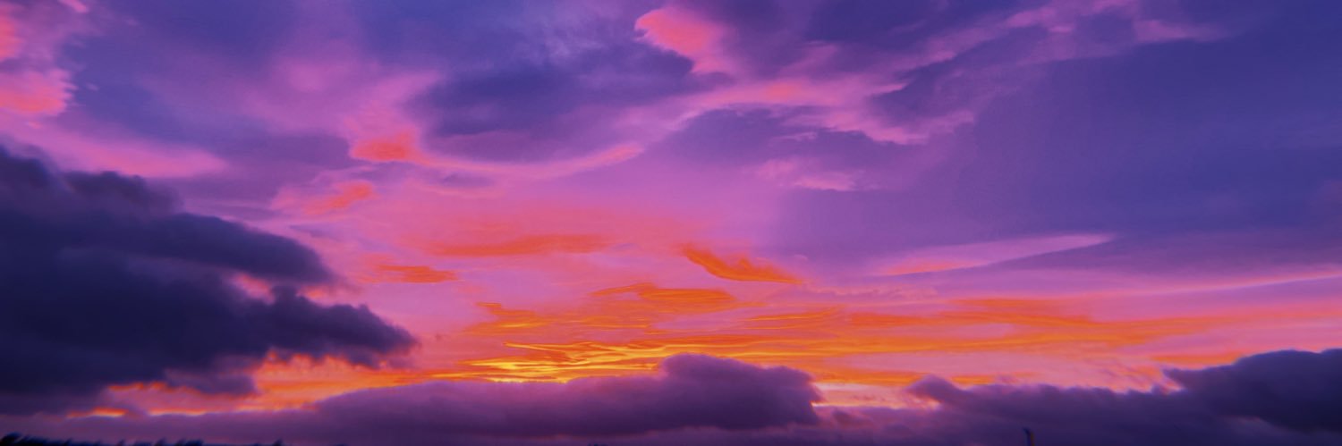 Niamh O'Leary banner